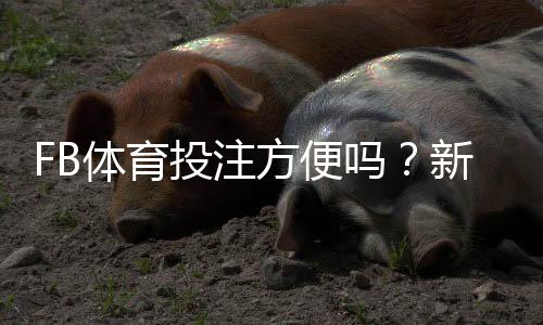 FB体育投注方便吗？新手必看操作流程、便捷性与安全性全面评测