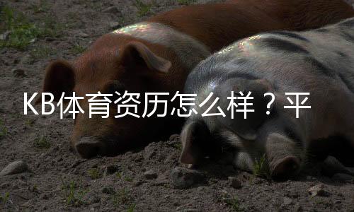 KB体育资历怎么样？平台背景、资质认证与用户口碑全面解析