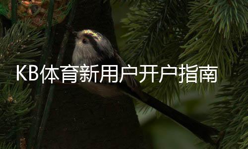 KB体育新用户开户指南:零基础注册流程、实名认证与首存优惠全攻略