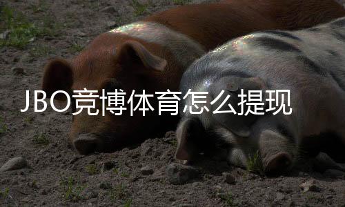 JBO竞博体育怎么提现？最新提现流程、手续费与到账时间详解