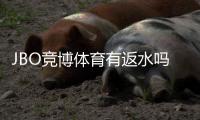 JBO竞博体育有返水吗？最新返水政策、领取方法与注意事项全面解析
