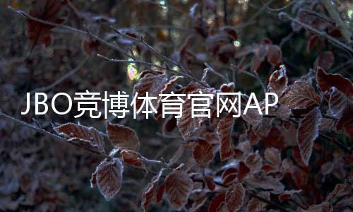 JBO竞博体育官网APP下载与使用全攻略：新手安装注册、充值提现及安全指南