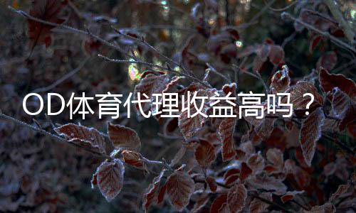 OD体育代理收益高吗?佣金构成、实测收入与快速增收攻略