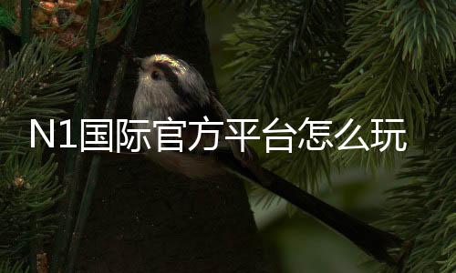N1国际官方平台怎么玩?注册登录、安全保障与玩法全面教学