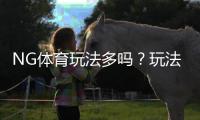 NG体育玩法多吗?玩法种类、投注规则与新手实战技巧一览