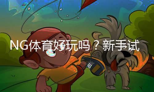 NG体育好玩吗?新手试玩评测、玩法解析与优缺点全面分析