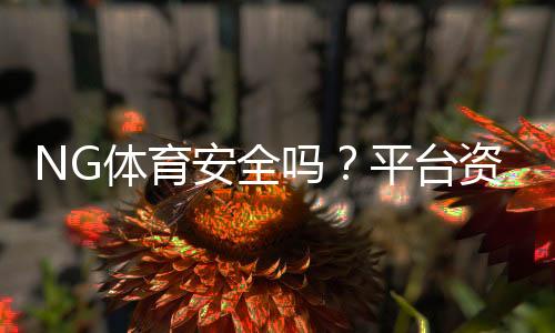 NG体育安全吗?平台资质、风控与提现风险全面解析