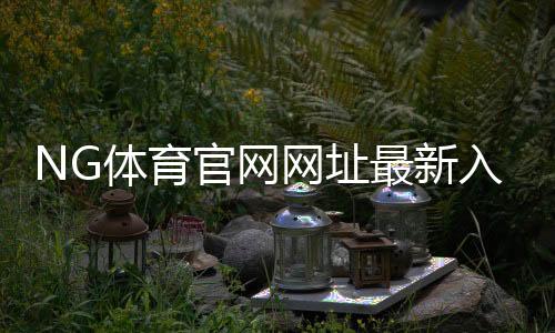 NG体育官网网址最新入口:官方登录教程、新手指南与安全使用注意事项