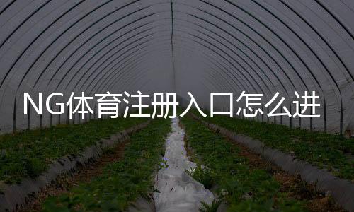 NG体育注册入口怎么进?最新版注册流程、注意事项与新手指南