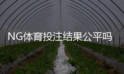 NG体育投注结果公平吗?公正性深度评估、识别异常与维权指南