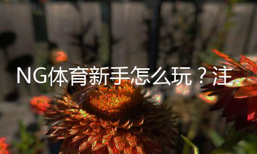 NG体育新手怎么玩？注册、充值、玩法与投注技巧全攻略