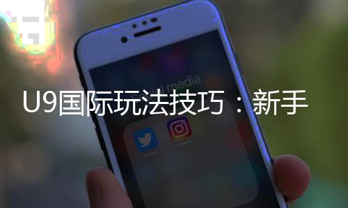 U9国际玩法技巧:新手必看快速上手攻略与实战投注技巧详解