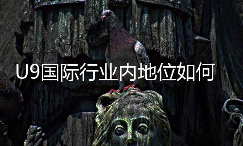 U9国际行业内地位如何？市场份额、竞争优势与未来前景一文看懂