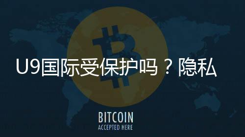U9国际受保护吗?隐私与账号安全全面解析