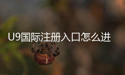U9国际注册入口怎么进？最新注册流程与常见问题详解