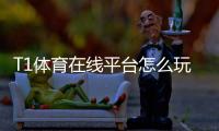 T1体育在线平台怎么玩?新手注册、充值与投注全攻略