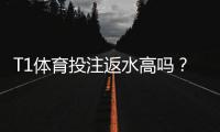 T1体育投注返水高吗？返水比例、计算方法与避坑攻略