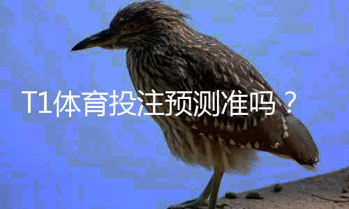 T1体育投注预测准吗?真实可信度评测与实战识别技巧