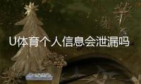 U体育个人信息会泄漏吗?深度解析平台安全性与防护措施