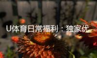 U体育日常福利：独家优惠与惊喜礼包天天送