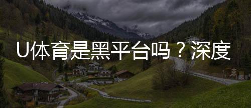 U体育是黑平台吗？深度解析其安全性与玩家评价