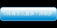 U体育怎么登录？详细步骤与常见问题解答