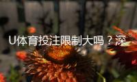 U体育投注限制大吗?深度解析平台规则与玩家体验