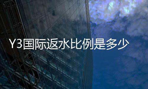 Y3国际返水比例是多少?最新返佣比例详解与计算方法