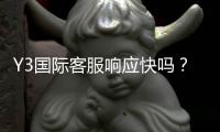 Y3国际客服响应快吗？真实体验、响应速度与问题处理流程详解