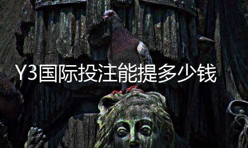 Y3国际投注能提多少钱?提现额度、手续费与到账时间一文看懂