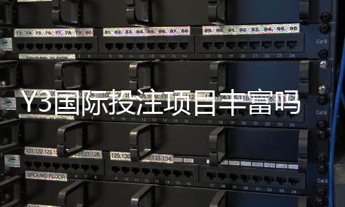 Y3国际投注项目丰富吗？玩法类型、热门赛事与新手投注指南