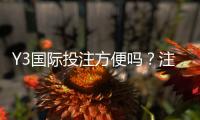 Y3国际投注方便吗？注册、充值、投注与提现全流程详解与安全评测