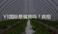 Y3国际是骗局吗？真相调查、用户投诉与防骗攻略