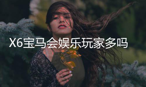 X6宝马会娱乐玩家多吗?资深玩家揭秘真实人气与体验