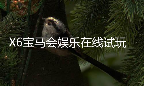 X6宝马会娱乐在线试玩：畅享豪华电游盛宴与真人棋牌乐趣