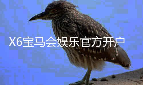 X6宝马会娱乐官方开户:豪华体验与高额返水等你来享