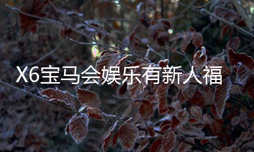 X6宝马会娱乐有新人福利吗?新会员注册即享多重豪礼