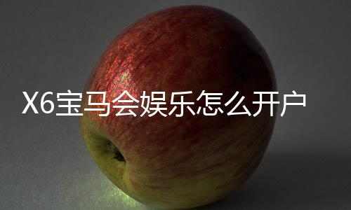 X6宝马会娱乐怎么开户？新手快速注册指南
