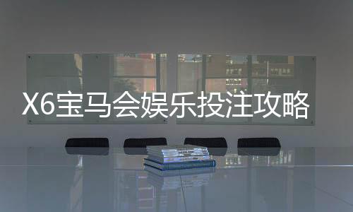 X6宝马会娱乐投注攻略：资深玩家教你稳赢技巧与实战心得