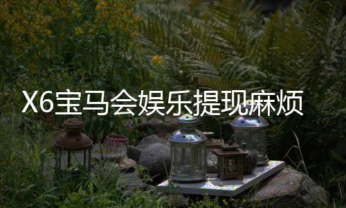 X6宝马会娱乐提现麻烦吗?资深玩家分享快速到账技巧