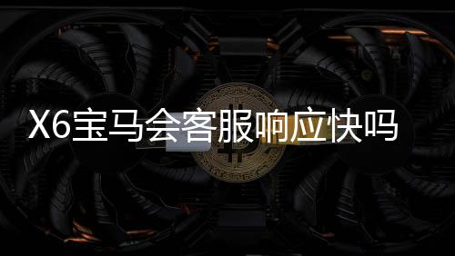 X6宝马会客服响应快吗？实测体验与高效服务解析