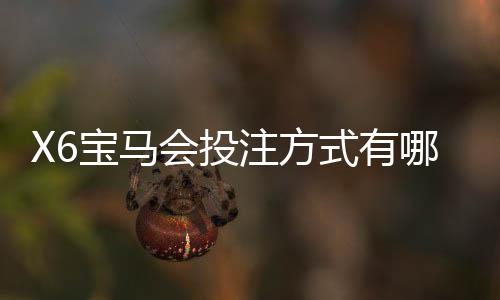 X6宝马会投注方式有哪些?详解热门玩法与技巧