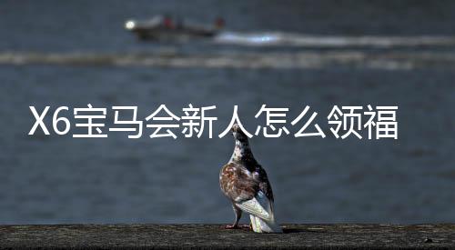 X6宝马会新人怎么领福利？手把手教你轻松获取首存礼金