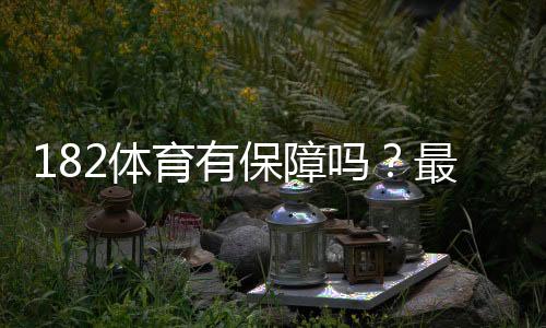 182体育有保障吗?最新安全性评测与用户评价全解析