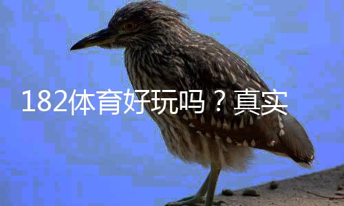 182体育好玩吗？真实试玩评测+玩法亮点与风险解析