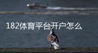 182体育平台开户怎么注册？新手开户详细步骤与安全注意事项