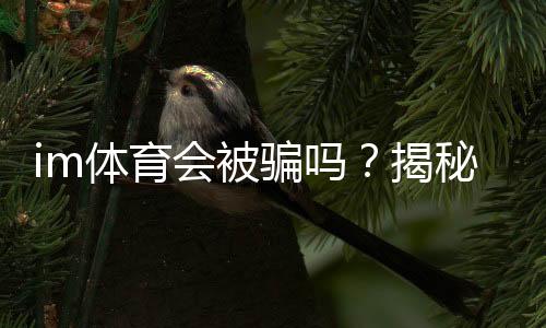 im体育会被骗吗?揭秘平台风险与防骗技巧