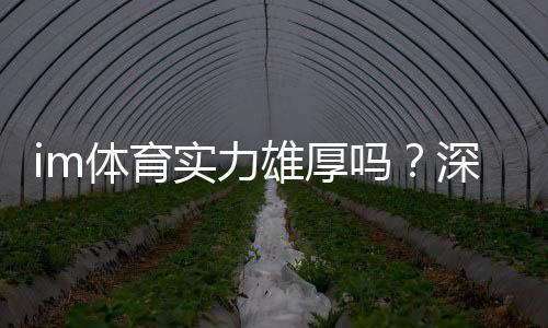 im体育实力雄厚吗？深度解析其平台优势与玩家真实体验