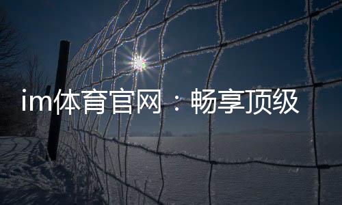 im体育官网：畅享顶级赛事投注与电子游艺的完美体验
