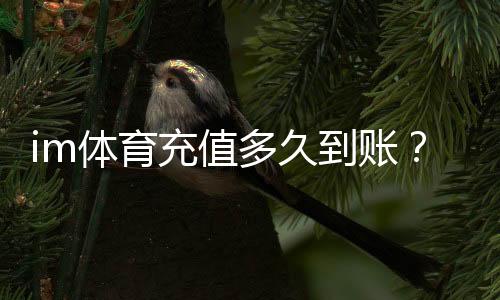 im体育充值多久到账？实测到账时间与快速入款技巧